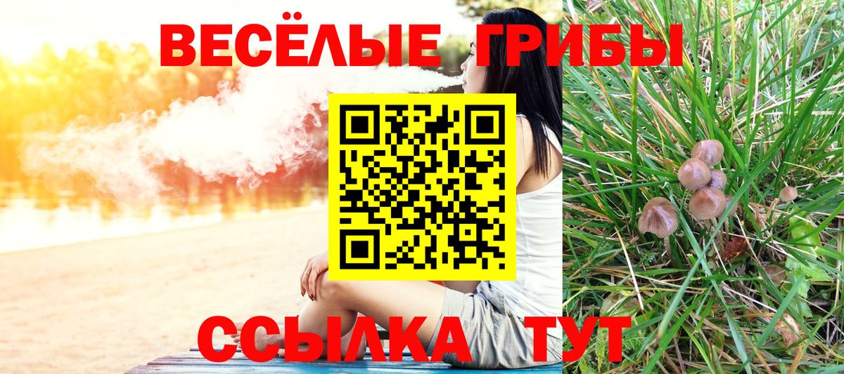 Псилоцибиновые грибы мицелий  Вход с VPN  дарнет шоп  Майский 